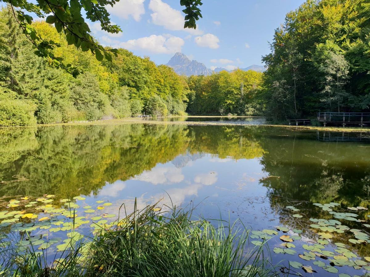 Entre Lac Et Montagnes Bernex Exterior foto